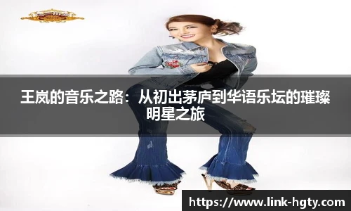 王岚的音乐之路：从初出茅庐到华语乐坛的璀璨明星之旅